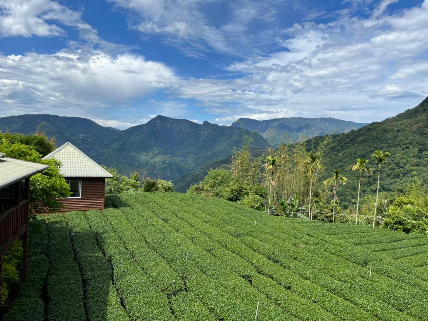 Ye Jiang Hua Homestay Meishan Exterior photo